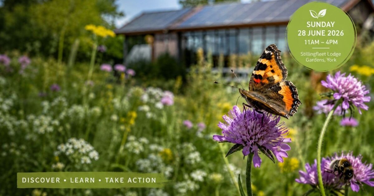 Stillingfleet Gardens Wildlife Day