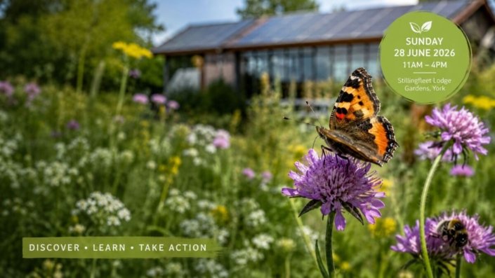Stillingfleet Gardens Wildlife Day