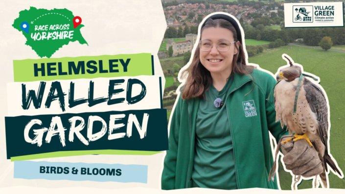 Race Across Yorkshire – Helmsley Walled Garden Race Across Yorkshire - Helmsley Walled Garden: Ria holding a falcon